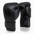Gants de boxe Combat Arena Heritage 2.0
