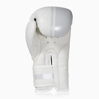 Gants de boxe Combat Arena Sonar