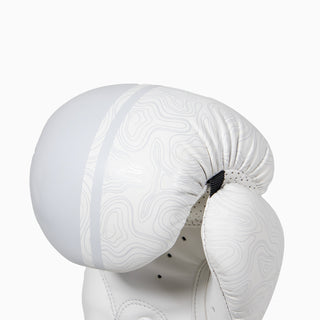 Gants de boxe Combat Arena Sonar