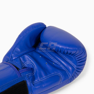 Thaibokshandschoenen Twins Special BGVL3 Koninklijk Blauw