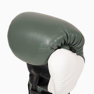 Gants de Muay Thai Twins Special BGVL4 Noir-vert-blanc