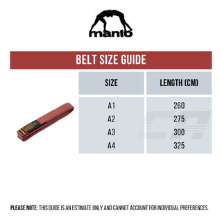 Ceinture BJJ Manto Motto Bleu