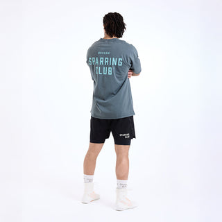 T-shirt Boxraw Sparring Club Oversize Grigio-Combat Arena