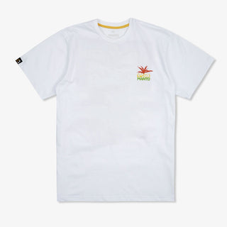 T-shirt Manto Endless Summer Bianco-Combat Arena