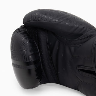 Gants de boxe Combat Arena Sonar