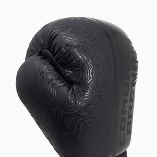 Gants de boxe Combat Arena Sonar