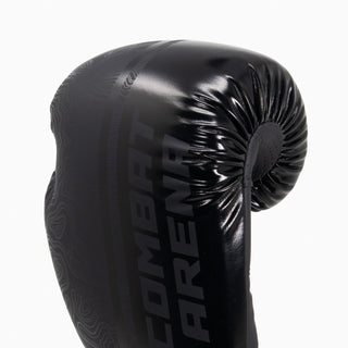 Gants de boxe Combat Arena Sonar