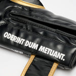 Gants de boxe Leone IUTER Barbed Wire GN02IU Noir-Combat Arena