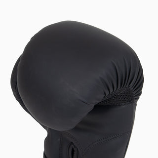 Gants de boxe Combat Arena Club 