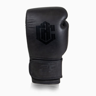 Gants de boxe Combat Arena Heritage 2.0 