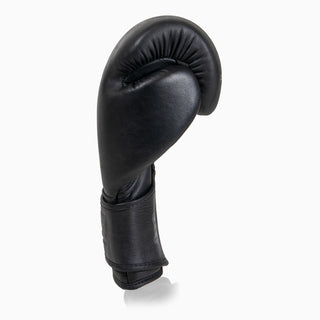Gants de boxe Combat Arena Heritage 2.0 