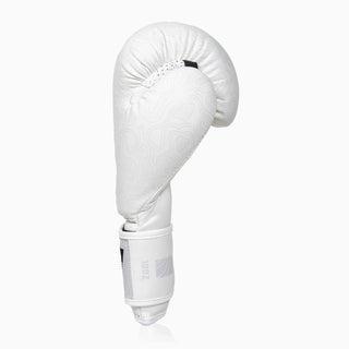 Gants de boxe Combat Arena Sonar 