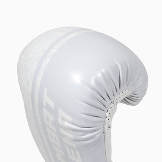 Gants de boxe Combat Arena Sonar 