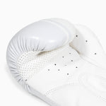 Gants de boxe Combat Arena Sonar 