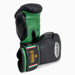 Gants de boxe Di Nardo avec Velcro 14 Oz Noir-vert 