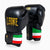 Bokshandschoenen Leone Italië GN039 