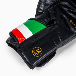 Bokshandschoenen Leone Italië GN039 