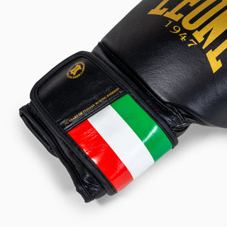 Bokshandschoenen Leone Italië GN039 