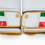 Bokshandschoenen Leone Italië GN039 