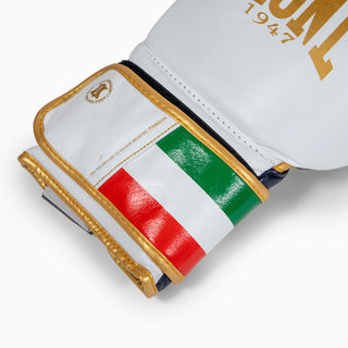 Bokshandschoenen Leone Italië GN039 