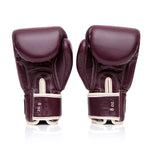 Gants de Muay Thai Fairtex BGV16 Marron 