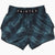 Pantaloncini kick-thai Fairtex BS1902 Stealth #2