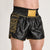 Pantaloncini kick-thai Leone DNA Premium AB969 Nero-Combat Arena