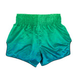 Shorts kick-thaï Fairtex BS1953 Quantum 