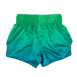 Shorts kick-thaï Fairtex BS1953 Quantum 