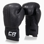 Gants de boxe Combat Arena Sonar 