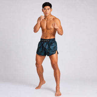 Shorts kick-thai Fairtex BS1902 Stealth #2
