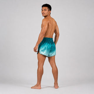 Shorts kick-thai Fairtex BS1906 Fade Vert