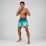 Shorts kick-thai Fairtex BS1906 Fade Vert