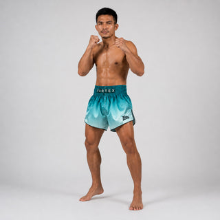 Shorts kick-thai Fairtex BS1906 Fade Vert