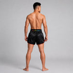 Shorts kick-thai Fairtex BS1912 Kabuki